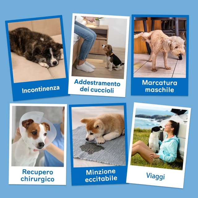 Thumbnail 6 de Dono fasce pannolini per cani maschi 20 pezzi