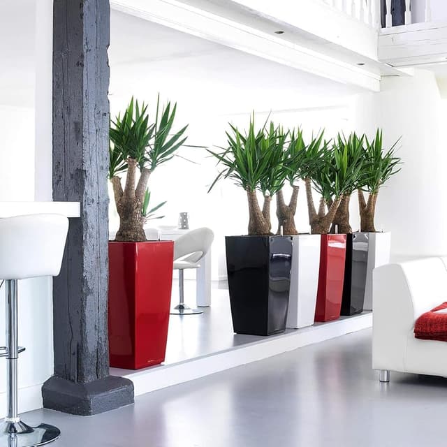 Thumbnail 2 de LECHUZA Cubico Premium 40 Rojo Escarlata 40 cm