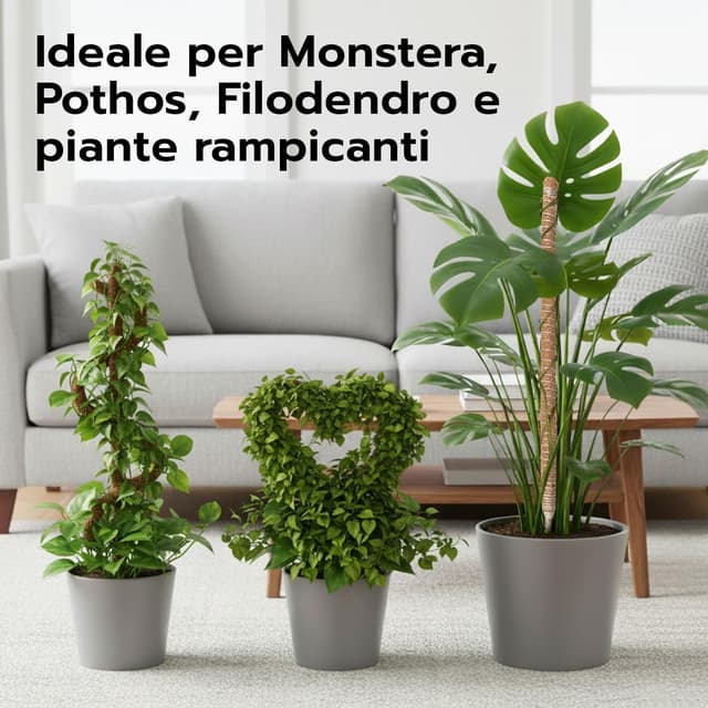 Thumbnail 6 de Wigearss 2 pezzi bastoni di muschio in fibra di cocco (cocco coir moss pole) pieghevoli da 60 cm per piante rampicanti