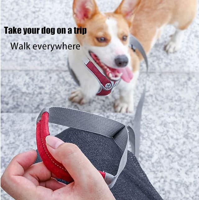 Detalle 2 de SKXEO Small Dog No-Pull Harness and Lead Set – reflective, adjustable, breathable (escape-proof design)