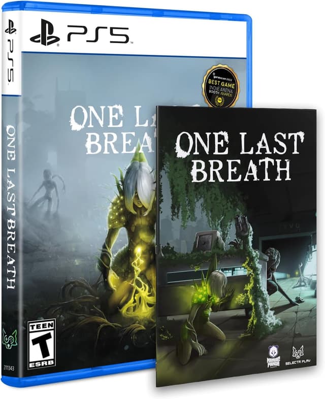 Detalle de One Last Breath PS5