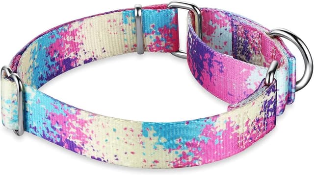 Thumbnail 2 de Dazzber Martingale Collar 2.5cm Wide