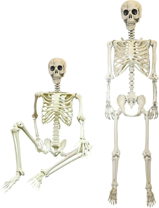 Detalle de Life-size Skeleton 165cm Halloween prop