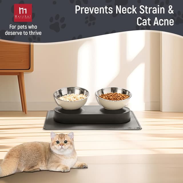 Detalle 2 de Marchul Ciotole per Gatti inclinate 15° con doppia ciotola 🐱