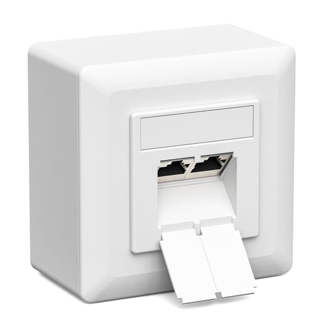 Detalle de iwillink Cat7 Netzwerkdose 2 Port 10 Gigabit