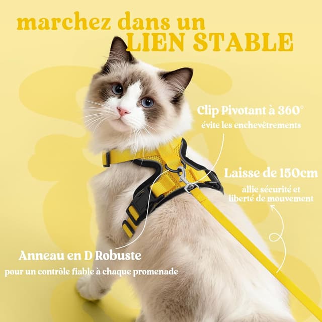 Thumbnail 4 de rabbitgoo Harnais Chat M 48â61 cm đŸ