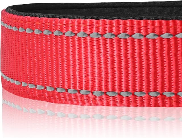 Thumbnail 3 de Joytale Reflective Dog Collar S, 11-15 in