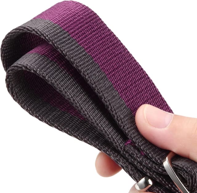 Detalle 2 de Dazzber Martingale Collar (Extra Strong Nylon, 1 1/2 Inch Wide) for Medium to XLarge Dogs – Purplish Red & Grey