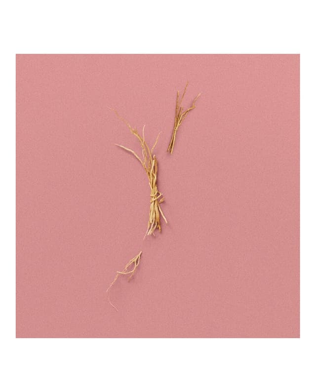 Thumbnail 4 de Gucci The Alchemist's Garden A Gloaming Night 100 ml