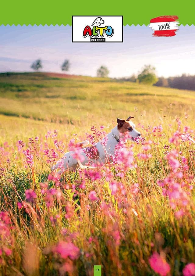 Thumbnail 6 de ALTO Premium Hunde-Pralinen Kalb für jeden Hund