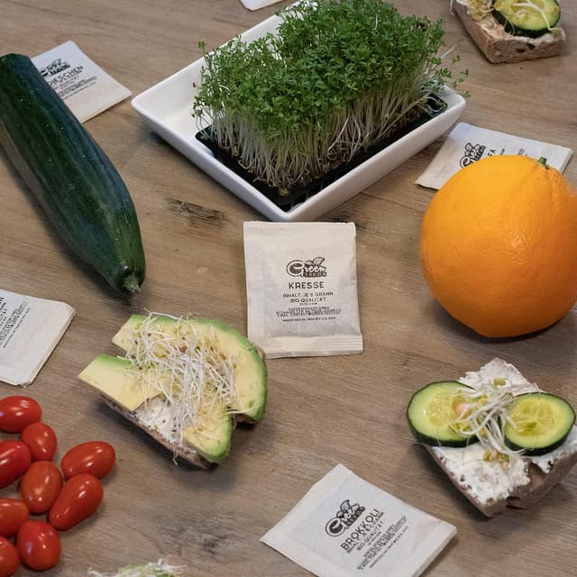 Thumbnail 2 de Green SEEDS Probierset 10er 🌱