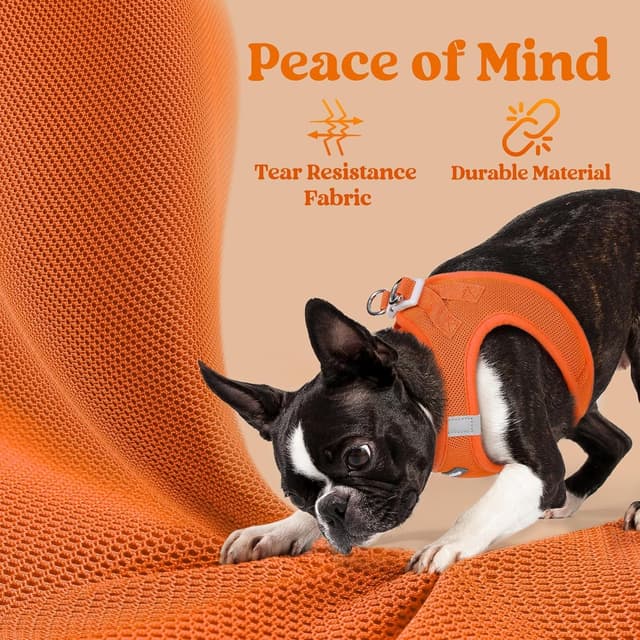 Thumbnail 6 de rabbitgoo Dog Harness Step-in for Small Dogs