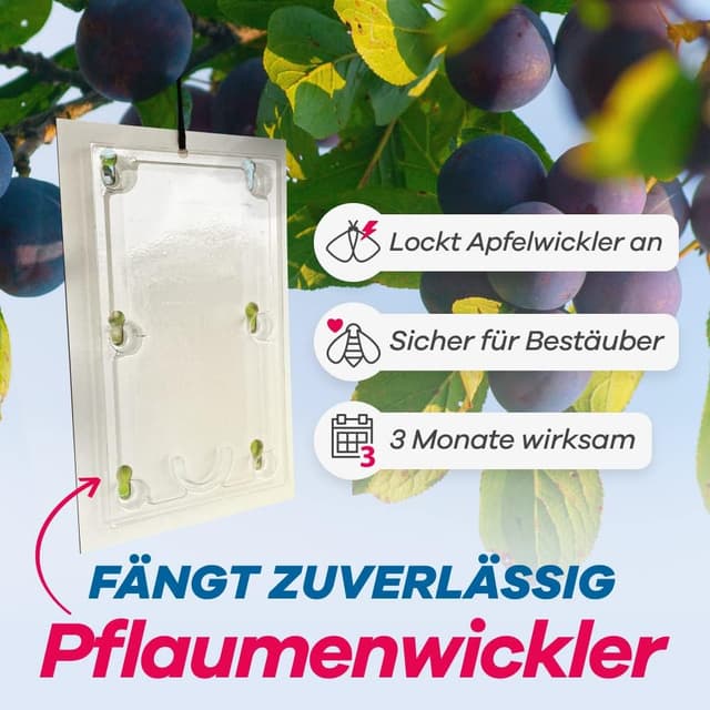 Detalle de Bio Pflaumenwicklerfalle (Pheromonfalle) mit Lockstoffen – 2 Stück für gesunde, wurmfreie Pflaumen