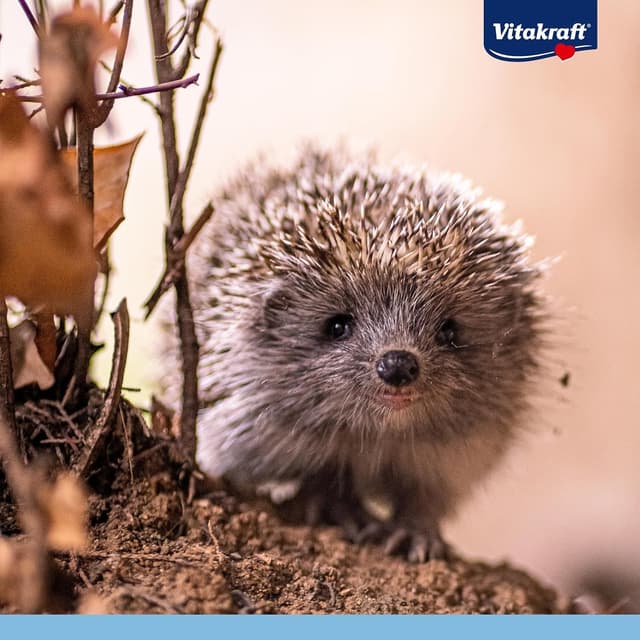 Thumbnail 6 de Vitakraft Vita Garden Igelfutter 2,5 kg