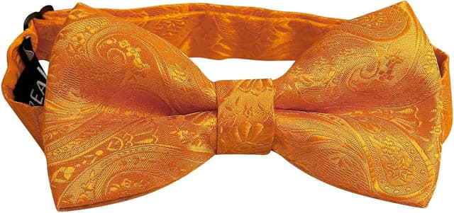 Detalle 2 de Alizeal Mens Paisley Bow Tie Set