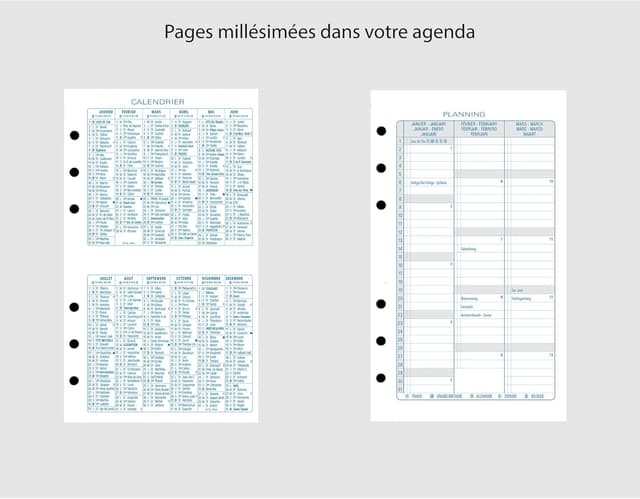 Detalle 2 de Exacompta Exatime 14 organiser 16 mois