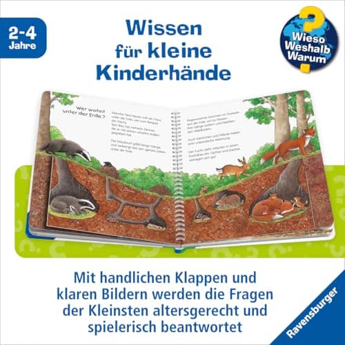 Detalle 2 de Wieso? Weshalb? Warum? junior Band 6: El bosque