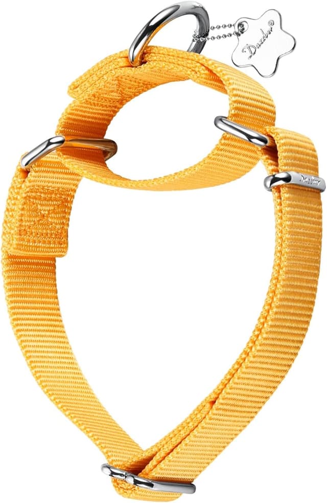 Thumbnail 6 de Dazzber Martingale Dog Collar 43-64 cm