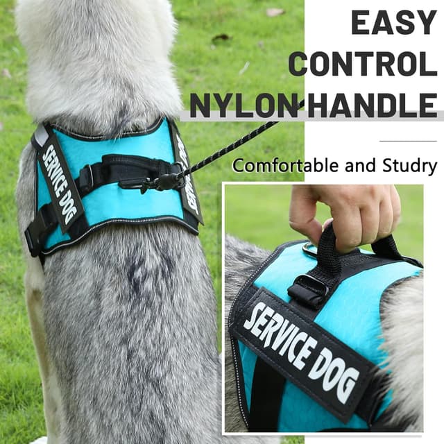 Detalle de Belababy Soft No Pull Dog Harness XS (Light Blue) – Adjustable assistance service vest with safety buckle