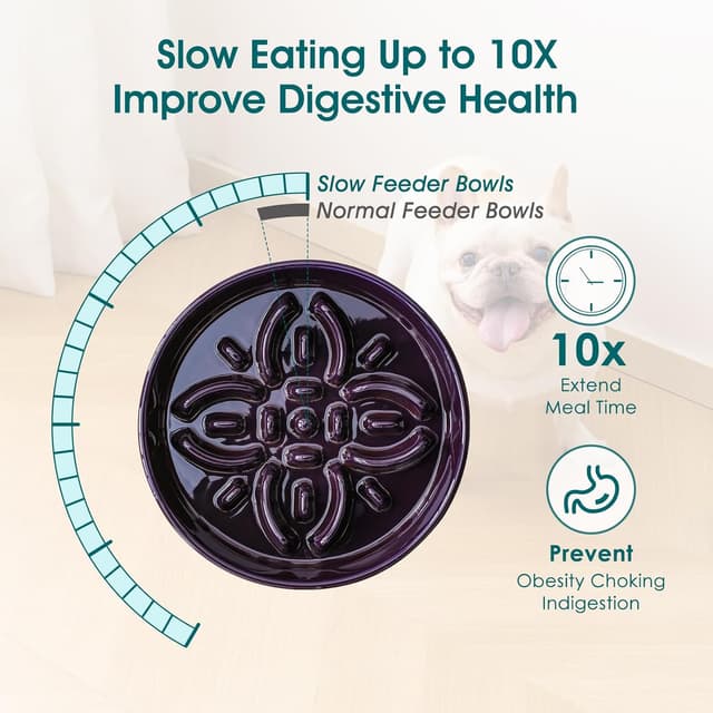 Detalle 2 de vancasso Gamelle anti-glouton en céramique 390 ml, design pétales – Violet