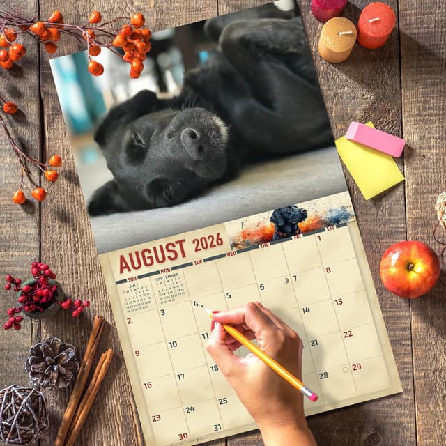 Thumbnail 4 de 2026 Black Labrador Wall Calendar 14x22 📅