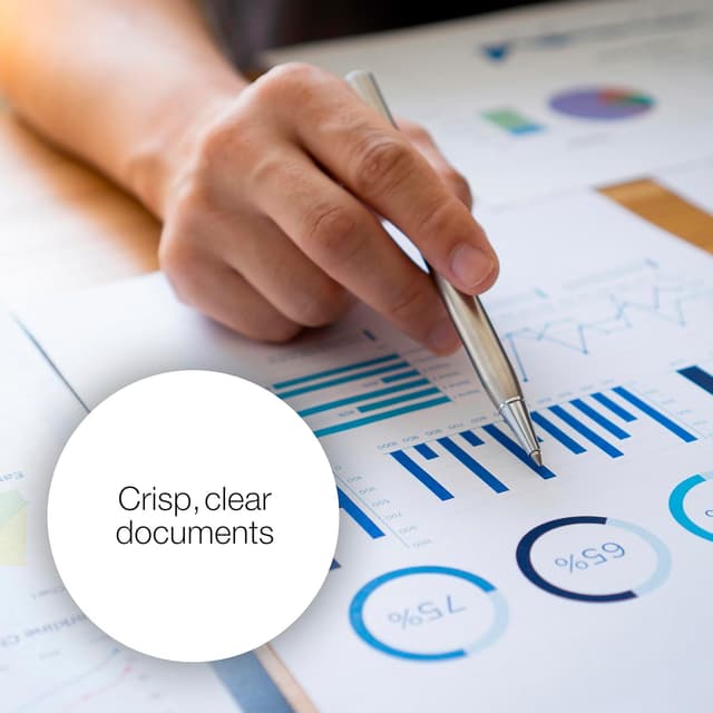 Thumbnail 4 de Epson T1306XL Stag Multipack Cartouches DURABrite Ultra