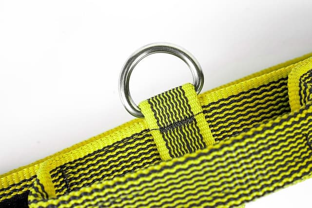 Thumbnail 4 de Collar Color & Gray 50 mm ajustable Negro‑Gris