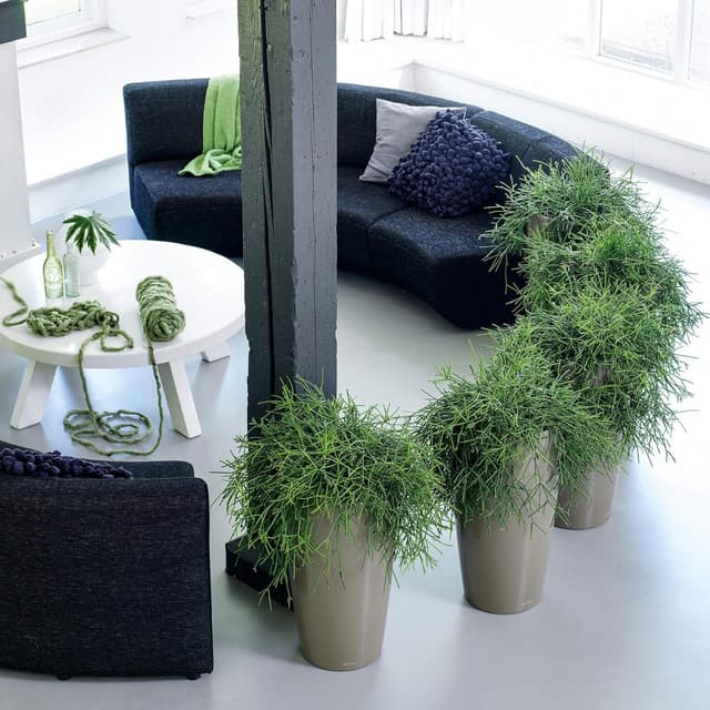 Thumbnail 3 de LECHUZA RONDO Premium 40 anthrazit 15743