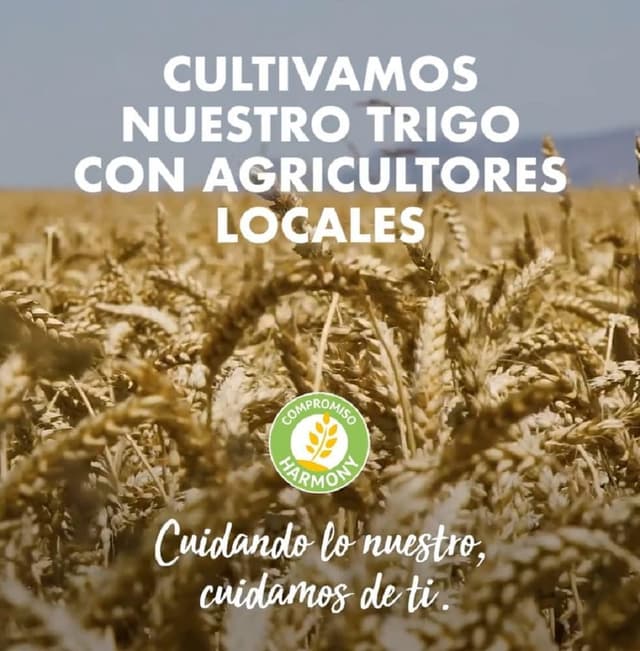 Thumbnail 6 de Fontaneda MarieLu Galletas Cereales 550 g 🍪