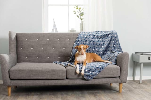 Thumbnail 1 de Trixie Couverture Tammy peluche douce