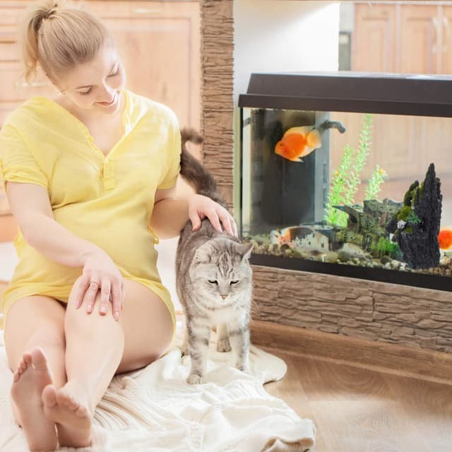 Detalle de Relaxdays Rocher déco d’Aquarium à l’aspect naturel (cachette japonaise), 17 x 23,5 cm