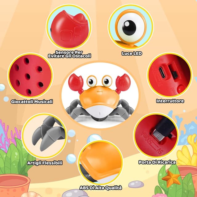 Detalle 2 de iKidiki iKidiki Granchio Montessori 6-12 mesi