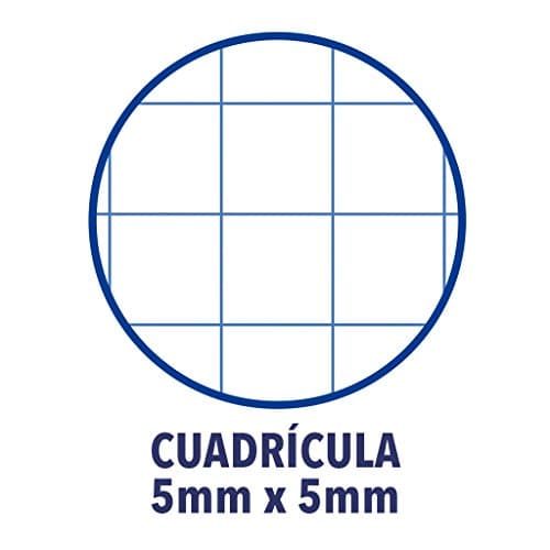 Detalle 2 de Oxford Classic Europeanbook-1 Cuaderno A5 80 hojas, paquete 5 unidades