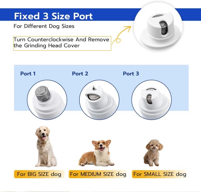 Thumbnail 4 de Tolesum 2 en 1 tondeuse chien 🐾