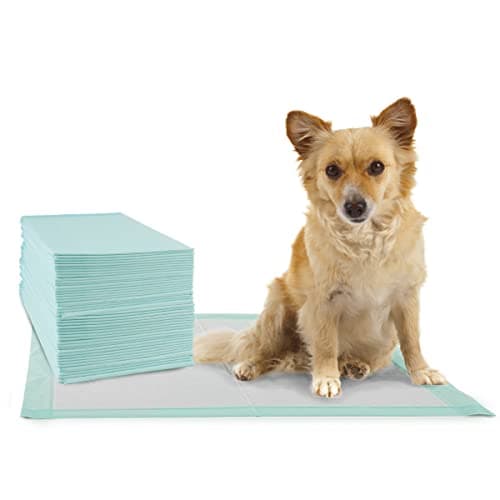 Thumbnail 5 de Mobiclinic Pets, Ales jetables pour Chain XL, 6 couches ⚙