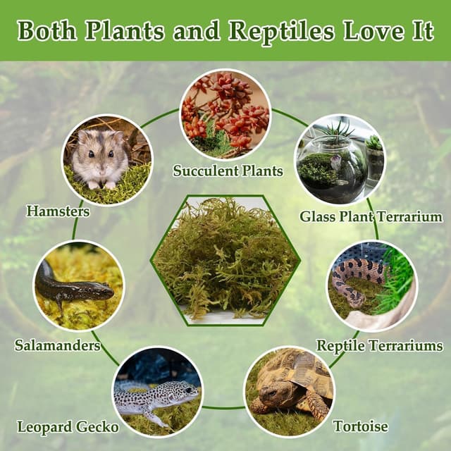 Thumbnail 5 de Halatool Sphagnum Moos 260 g für Terrarien