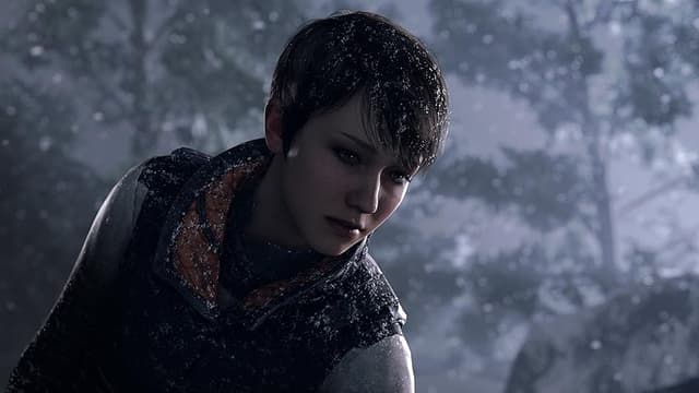 Detalle 2 de Detroit: Become Human PlayStation 4 — edición importada