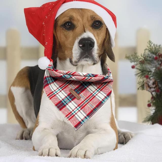 Thumbnail 3 de Elegant Little Tail Dog Bandana Christmas 1 size