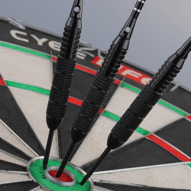 Detalle 2 de CyeeLife 12 Pack Steel Tip Darts (22 g) with Aluminium Shafts, PET Flights & Sharpener
