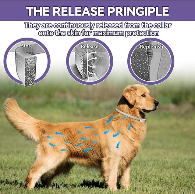 Detalle de Wansiven collier anti-puces réglable 65 cm imperméable pour chien