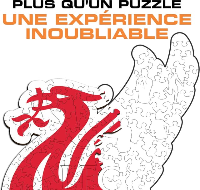 Detalle de Iconic Puzzles Liverpool Classic Logo (Liver Bird) — puzzle en bois 500 pièces, taille L