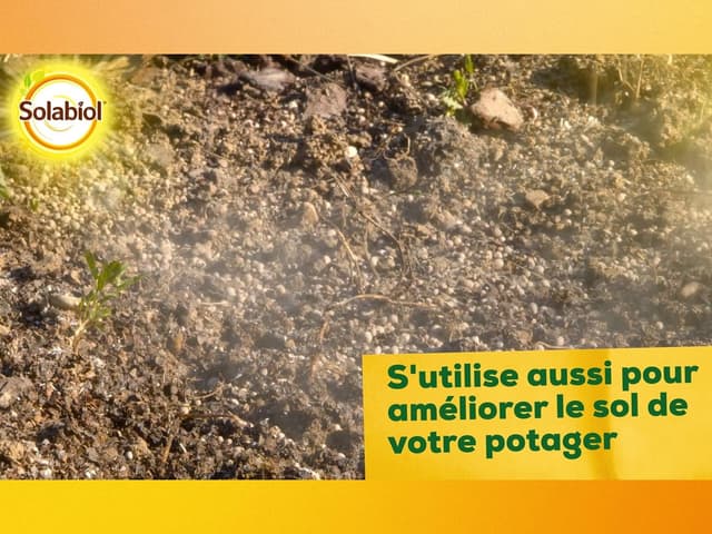 Thumbnail 4 de SOLABIOL Carbonate De Chaux Et De Magnésium 10 kg