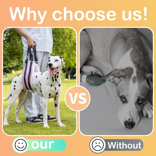 Detalle de Adjustable Dog Lift Harness Dog Sling with Hind Leg Support for Mobility & Rehab