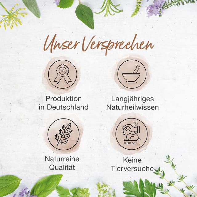 Thumbnail 6 de BÄRBEL DREXEL® Leber-Vital Kapseln mit Silymarin (Mariendistel) – vegan, 108 Stk