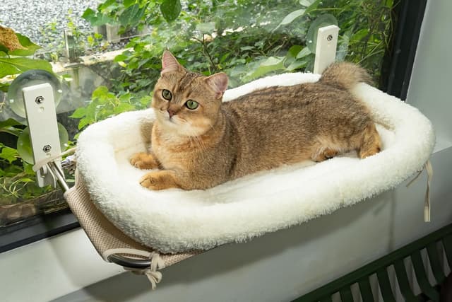 Thumbnail 1 de PEFUNY Cordless Folding Cat Window Perch