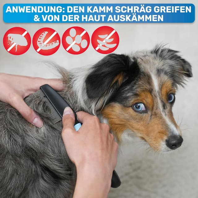 Detalle de BluePet Robuster Flohkamm & Läusekamm für Hunde & Katzen – robuster Kamm mit abgerundeten Zinken (Floh-, Läuse- und Nissenkamm)