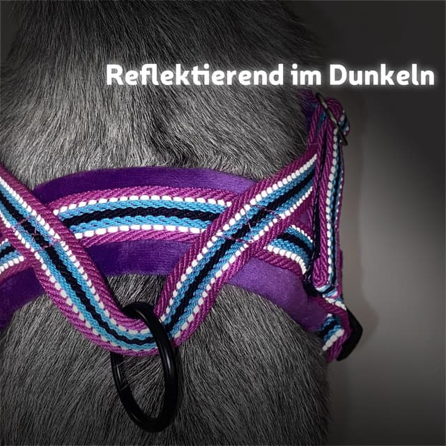 Detalle 2 de SlowTon Hundegeschirr mit Leine – Anti-Zug Sicherheitsgeschirr mit reflektierenden Nähten