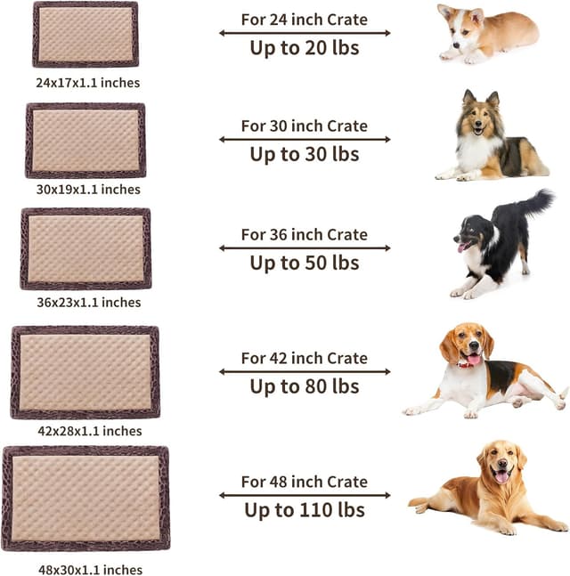 Thumbnail 5 de MINIDEAR Dog Crate Pad 4-inch Memory Foam