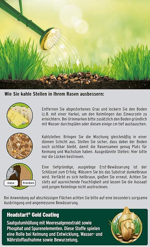 Thumbnail 6 de Substral Magic Lawn Patch 3,6 kg: reparación de césped