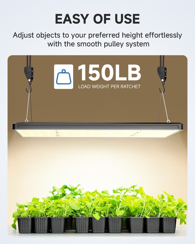 Thumbnail 2 de Fondwell 1/4" Rope Ratchet Straps 4-Pack